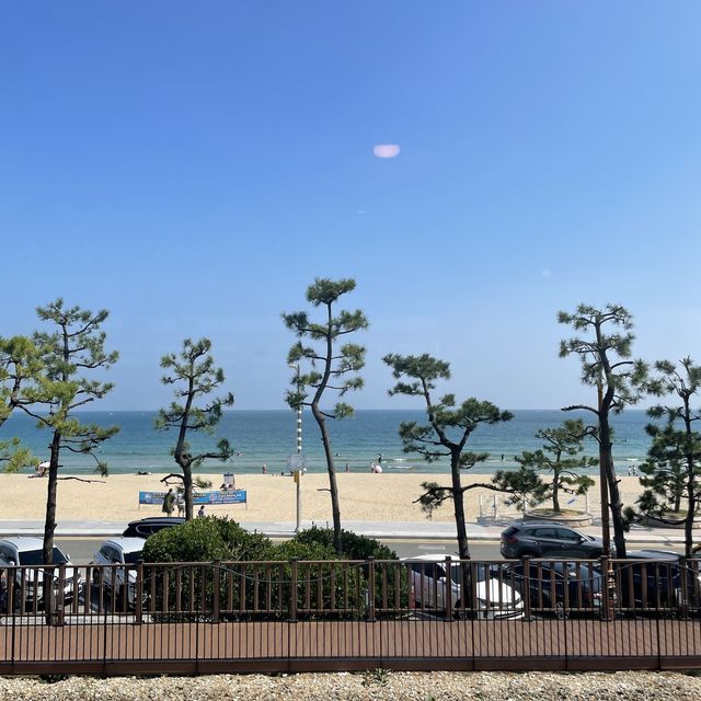 송정해수욕장 수제버거 ‘프리덤버거’