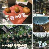 係日本🇯🇵梨🍐都可以有博特館😄😂