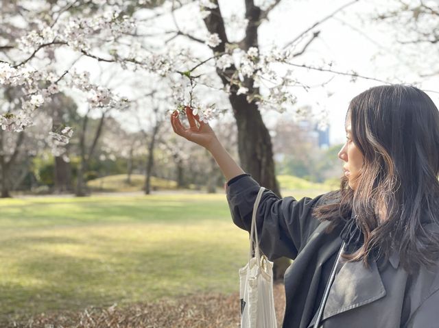 熊本県　水前寺公園で春を感じてきた🌸✨