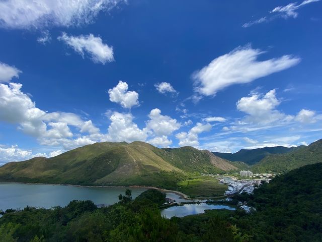 明知山有虎🐯偏向虎山行 明知山有虎🐯偏向虎山行