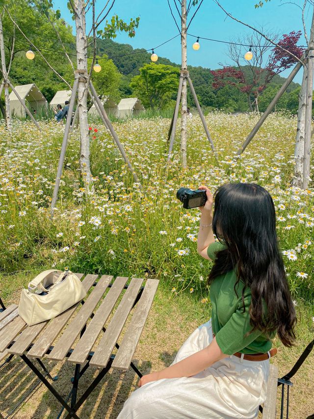 파주로 드라이브 갔다가 가기 좋은 필무드
