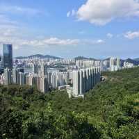 市區行山 - 金督馳馬徑