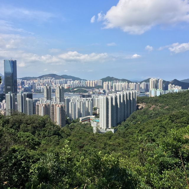 市區行山 - 金督馳馬徑 市區行山 - 金督馳馬徑