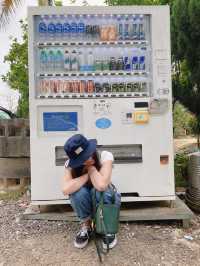 上水-何時河地田園風打卡