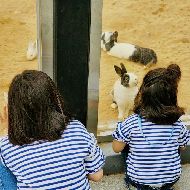 울진 왕피천공원, 아이와 함께 가볼만한 울진여행 장소