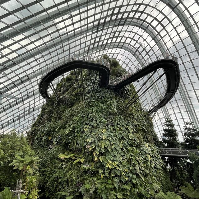 Visiting Cloud Forest + Flower Dome