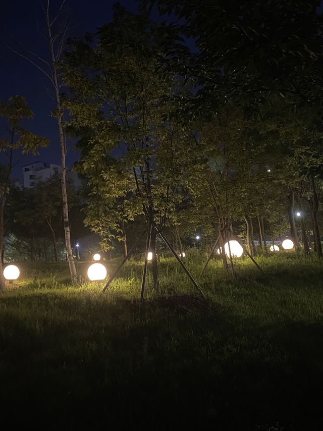 🌃한국의 베니스 [김포 라베니체]🎆