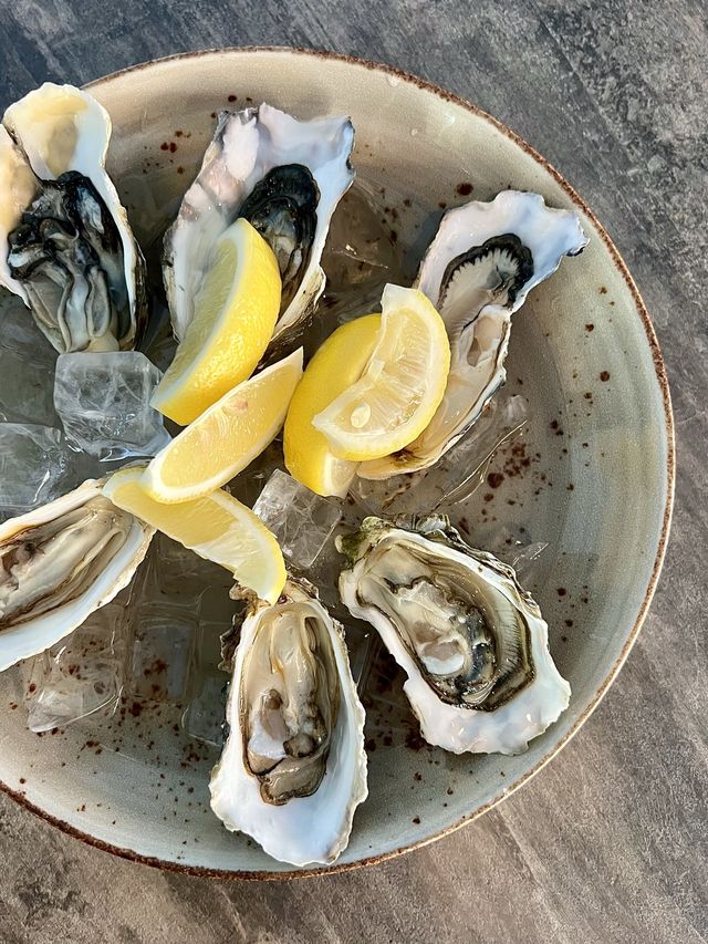 Fresh and Affordable Oysters at Oyster Co 