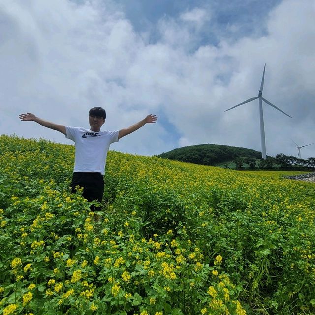 강원도 태백시 매봉산 바람의언덕 