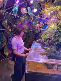 【インスタ映え】金魚ミュージアム