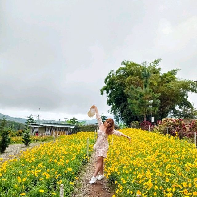 Out and about 🌼