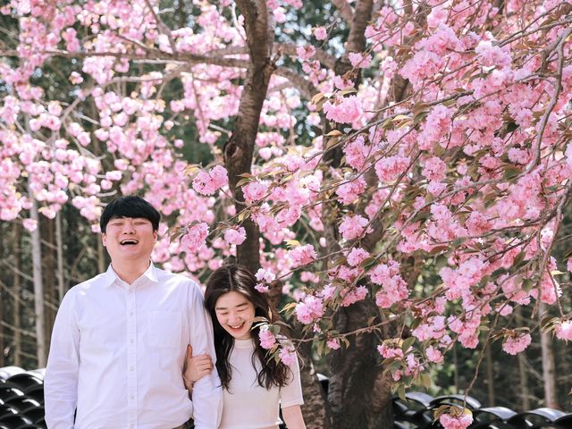 부산 근교 겹벚꽃 명소, 사천 청룡사