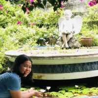 Marian Orchard, Beautiful place 