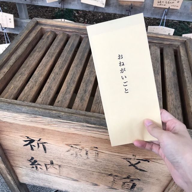 東京裡的聖地神宮⛩遼闊綠地森林一起來淨化心靈吧☺️