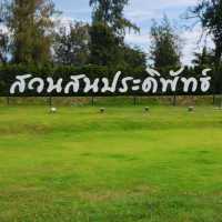 เดินเล่น พักผ่อนที่หาดสวนสนประดิพัทธ์ 