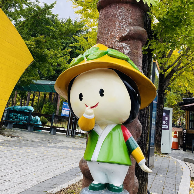 [용문] 가을 산행 단풍 구경🍁'용문산관광단지'