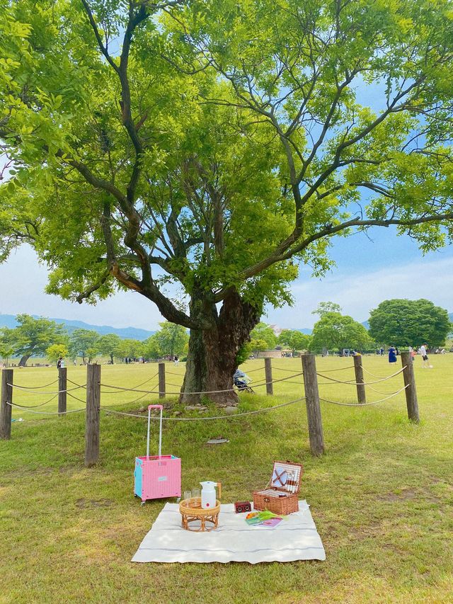 서산 해미읍성에서 여유로운 피크닉 🫧