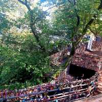 N Seoul Tower (Namsan Observatory Tower)