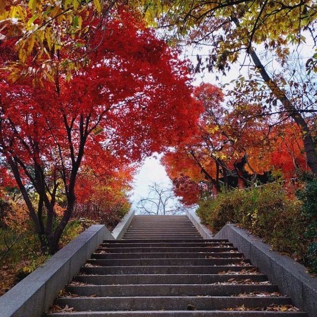 Omokdae in autumn, Jeonju