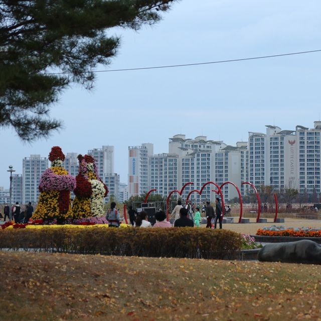 월광수변공원에서 함께 하는 늦은 가을 나들이🍂