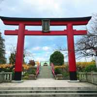 【東京】鳥居から眺めるスカイツリー