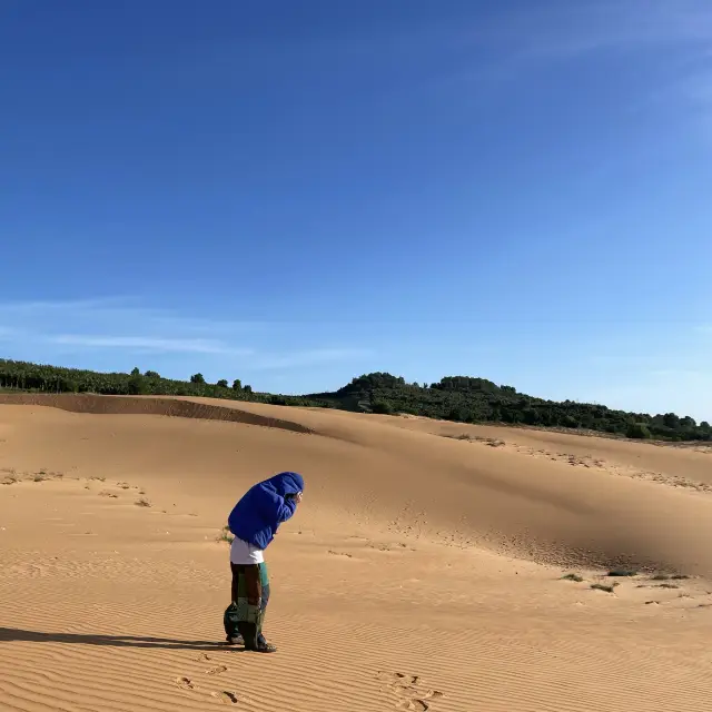 사막 위를 걷는 당신, 지금 여기 베트남