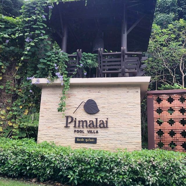 beautiful resort in a lush jungle 