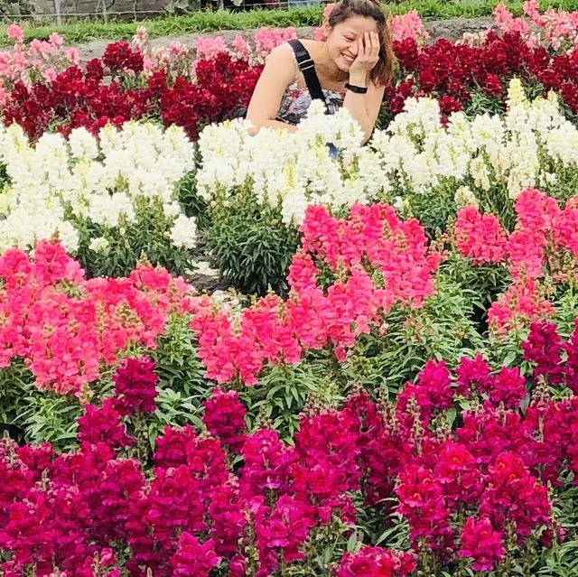 Flower Garden
