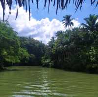 Loboc River Cruise Dining Experience