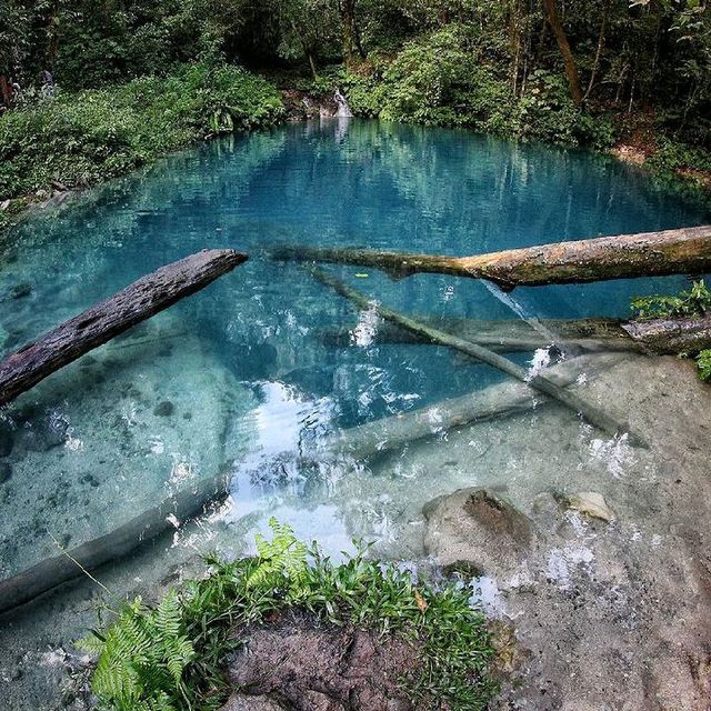 LAKE KACO, JAMBI