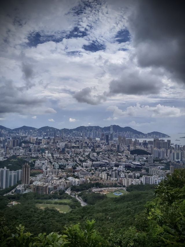 獅子🦁️山