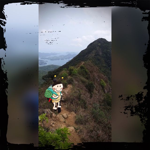 大金鐘