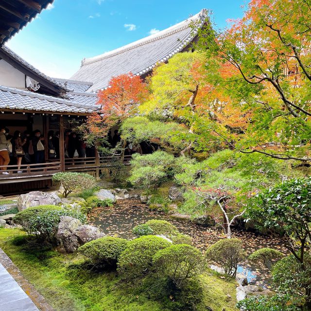【紅葉巡り】京都ー永観堂