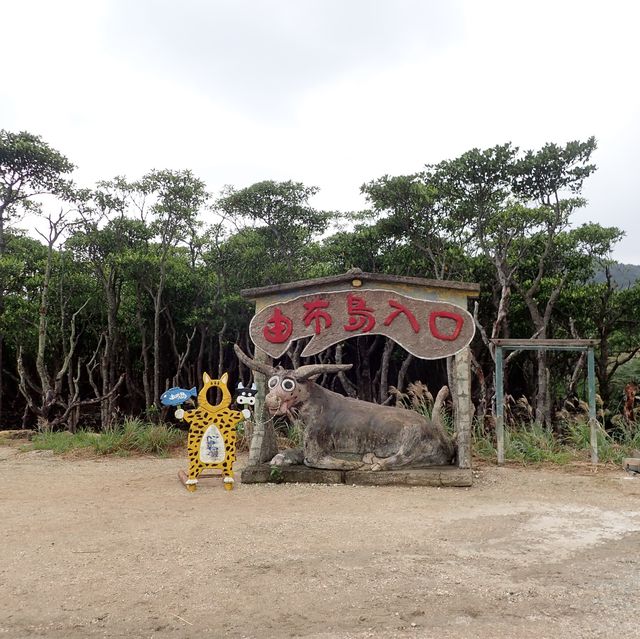 【沖縄･由布島】水牛車で海を渡って辿り着く島🐃