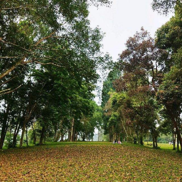 Dibawah Langit Selabintana