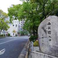 [福岡市]桜🌸満開で花吹雪舞う「西公園」