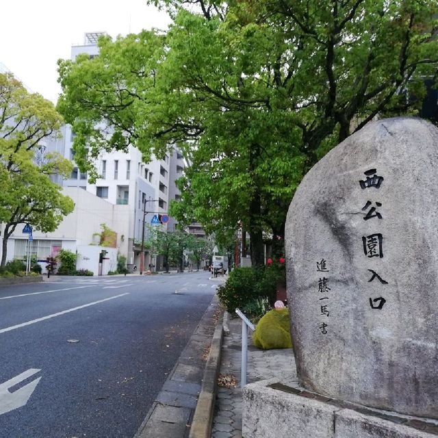 [福岡市]桜🌸満開で花吹雪舞う「西公園」