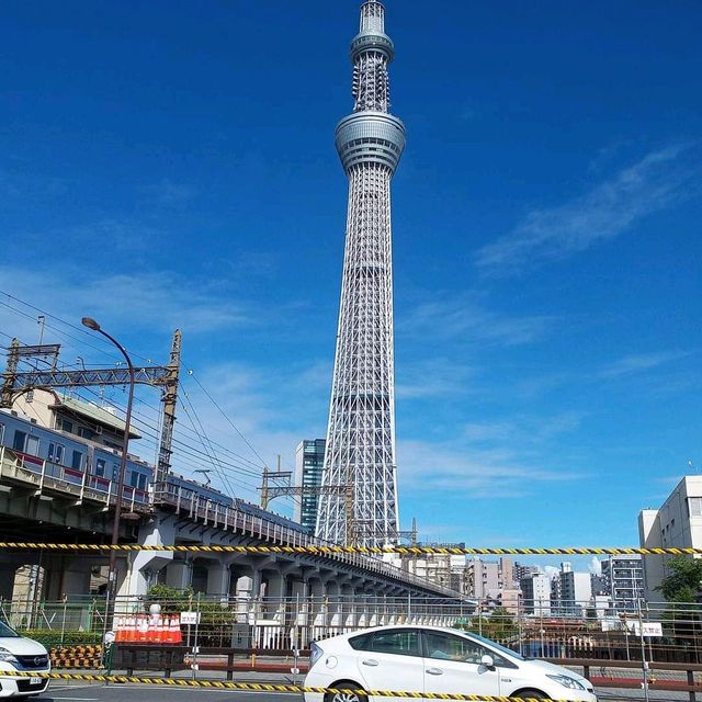 Tokyo Skytree the Tallest Tower 