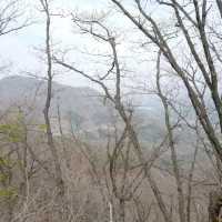 양평 유명산 등산 