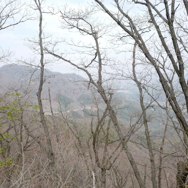 양평 유명산 등산 