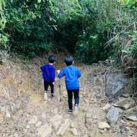 港版嵐山竹林之道