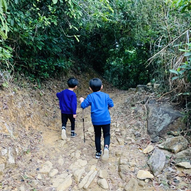 港版嵐山竹林之道