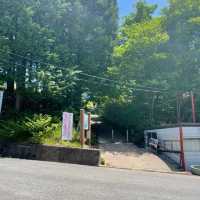 曽爾高原は緑の美しさがやばい！
