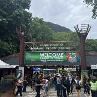 25th Rainforest World Music Festival!