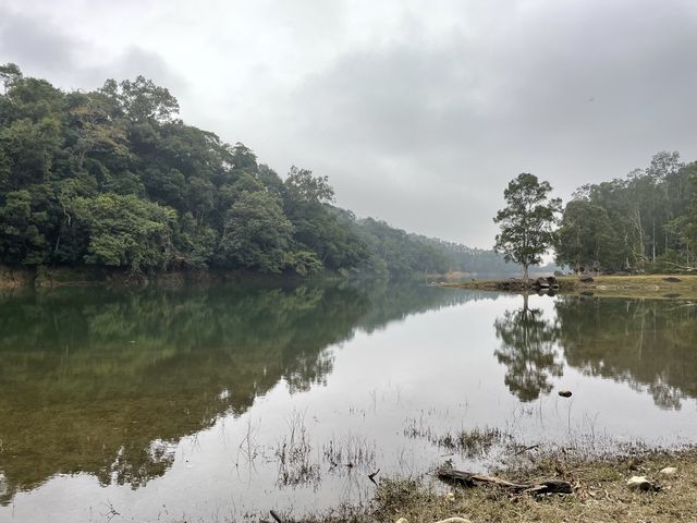 荃灣秘景 - 城門水塘 荃灣秘景 - 城門水塘