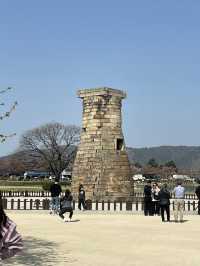 푸른 잔디밭과 "대릉원" 경주 여행