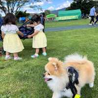 ペットと子供連れに優しい軽井沢アウトレット