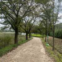 The autumn view of Ilwol park