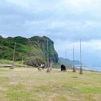 [望幽谷/彩虹屋/正濱漁港/潮境公園/飛天掃帚］