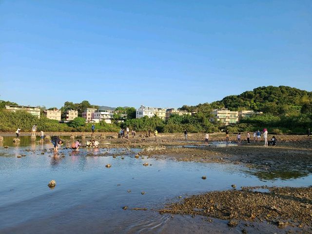 【CP值最高的紅樹林~泥涌🌴】
